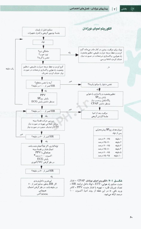 درسنامه جامع آزمون محور مامایی گلبان بیماریهای نوزادان