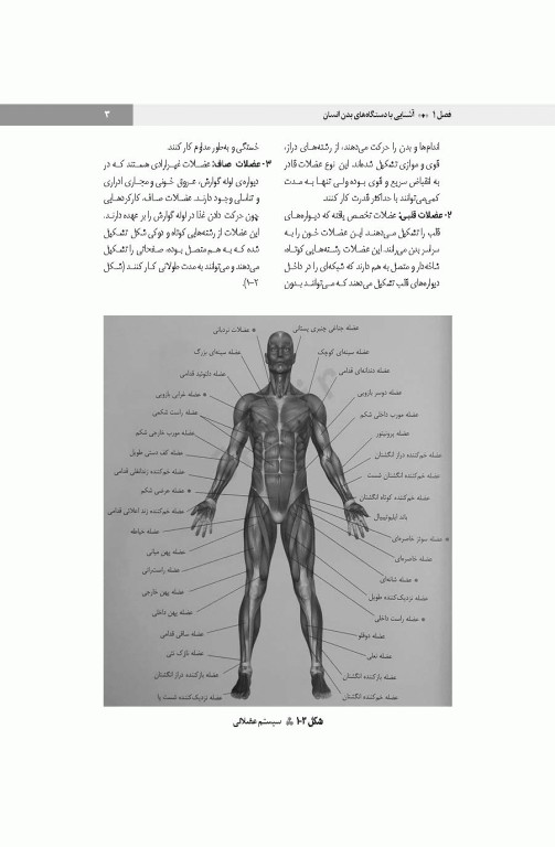 اصول کمک‌های اولیه خودامدادی و دگرامدادی در نظامیان