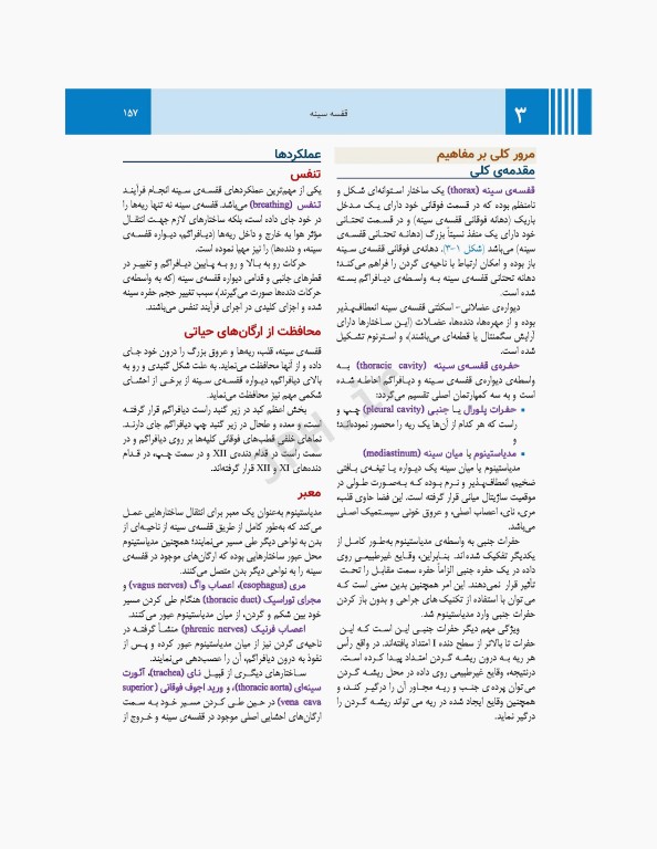 آناتومی گری برای دانشجویان 2024 جلد1 تنه ترجمه پروفسور علیرضا زالی