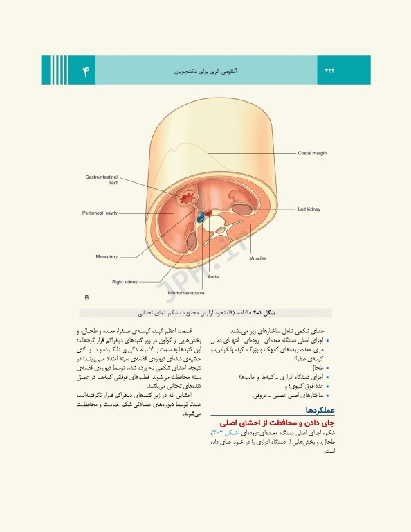 آناتومی گری برای دانشجویان 2024 جلد1 تنه ترجمه پروفسور علیرضا زالی