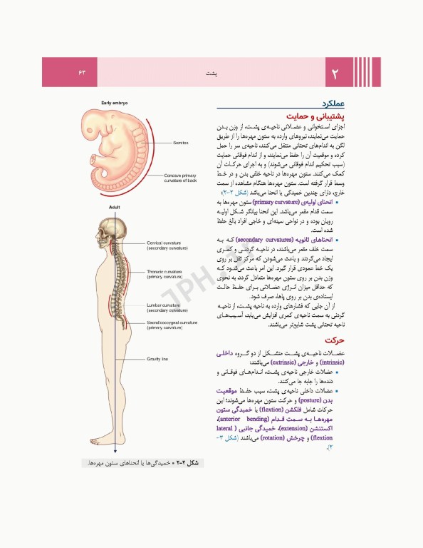 آناتومی گری برای دانشجویان 2024 جلد1 تنه ترجمه پروفسور علیرضا زالی