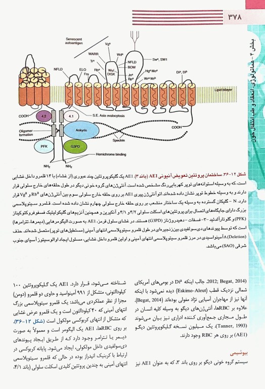 خون‌شناسی انعقاد و طب انتقال خون هنری دیویدسون 2022