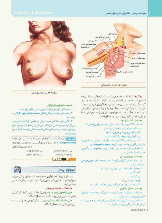 گایدلاین جراحی 3 تالیف دکتر کامران احمدی
