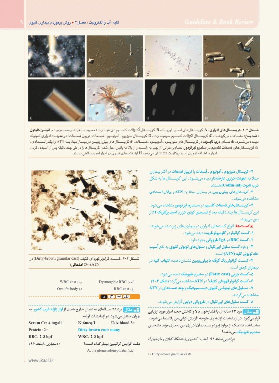 گایدلاین Guideline کلیه آب و الکترولیت تالیف دکتر کامران احمدی