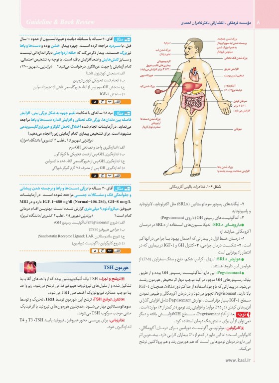 گایدلاین غدد و متابولیسم تالیف دکتر کامران احمدی