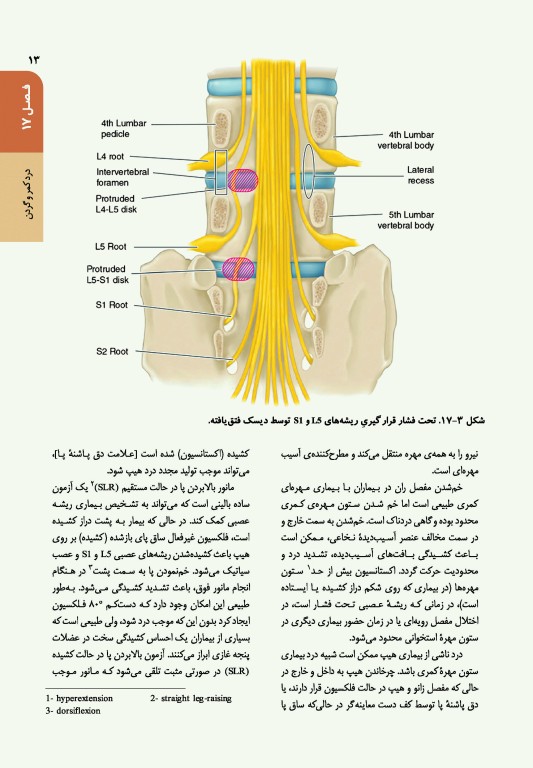 اصول طب داخلی هاریسون 2022 بیماری‌های روماتولوژی و دستگاه ایمنی