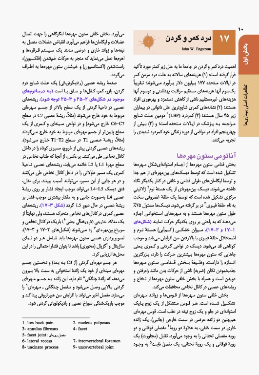 اصول طب داخلی هاریسون 2022 بیماری‌های روماتولوژی و دستگاه ایمنی