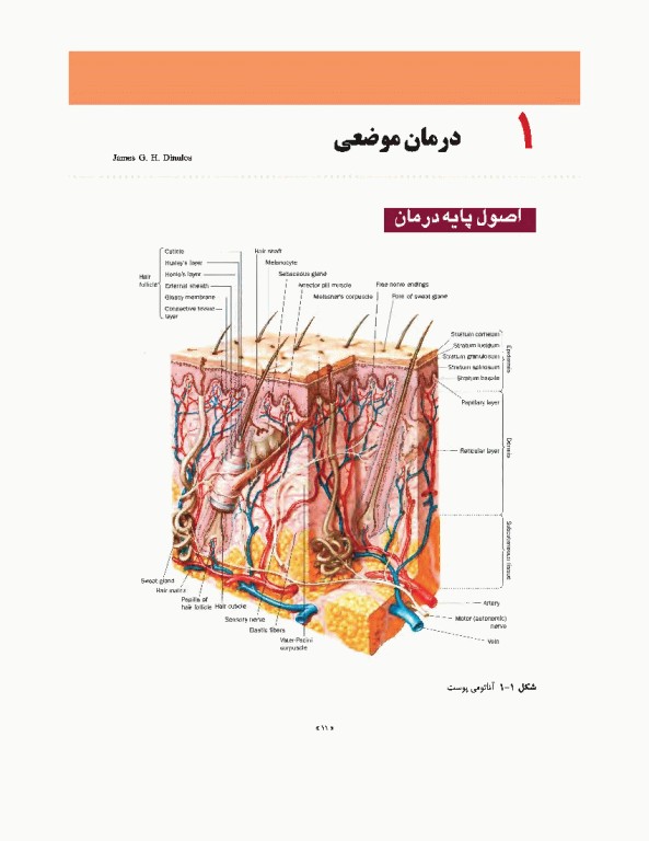 تشخیص و درمان بیماری‌های پوست هبیف 2017