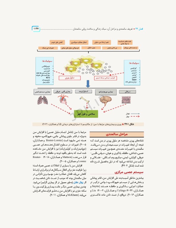 سلامت خانواده 3 با تاکید بر سلامت مادر، کودک و باروری