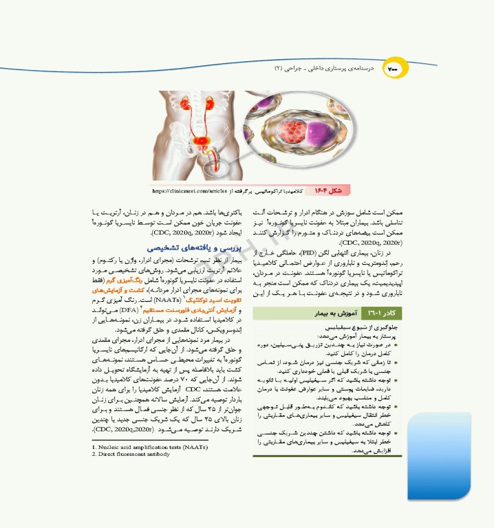 درسنامه‌ی پرستاری داخلی جراحی بزرگسالان و سالمندان جلد2
