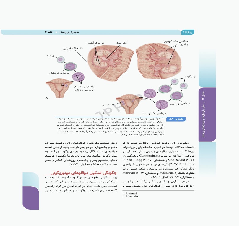 بارداری و زایمان سیمبر جلد 3 بارداری و زایمان غیرطبیعی ویراست دوم