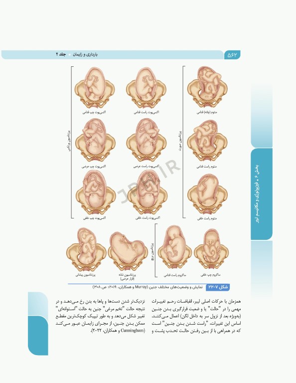 بارداری و زایمان دکتر سیمبر جلد2 لیبر، زایمان و پس از زایمان، مراقبت و اداره آن‌ها ویراست دوم