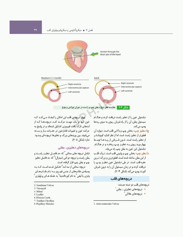 مراقبت‌های جامع پرستاری در بخش‌های مراقبت‌ ویژه قلبی، تنفسی، کلیوی