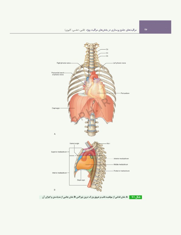 مراقبت‌های جامع پرستاری در بخش‌های مراقبت‌ ویژه قلبی، تنفسی، کلیوی