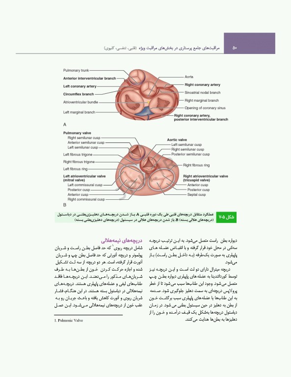 مراقبت‌های جامع پرستاری در بخش‌های مراقبت‌ ویژه قلبی، تنفسی، کلیوی