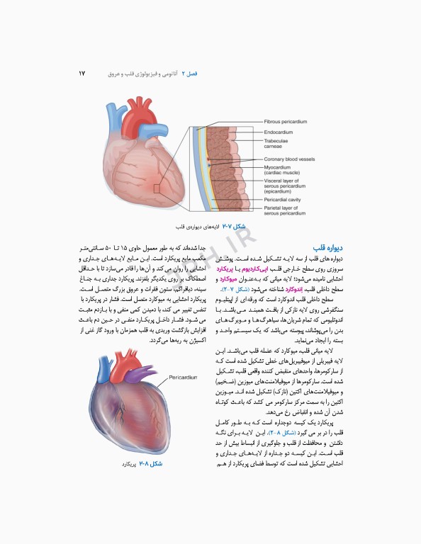 اقدامات تهاجمی قلبی عروقی 2023، راهنمای پرسنل کت لب