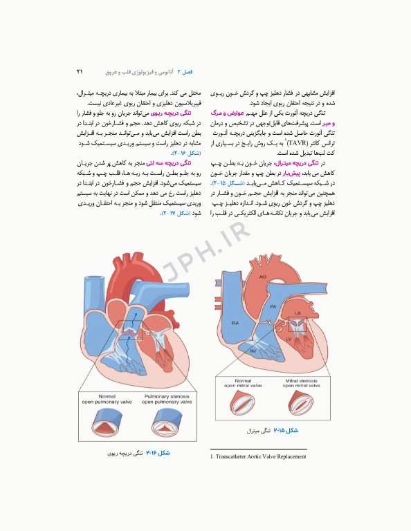 اقدامات تهاجمی قلبی عروقی 2023، راهنمای پرسنل کت لب
