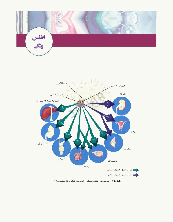 اصول روان‌پرستاری و بهداشت روان تاونسند 2023