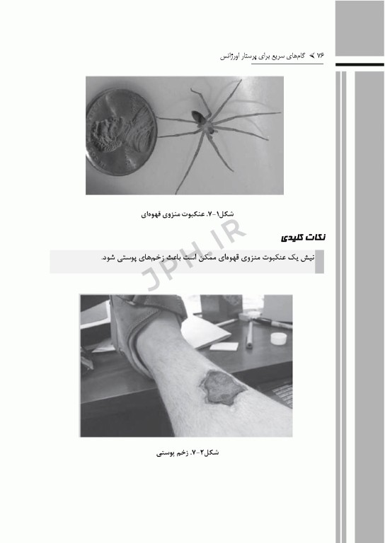 گام‌های سریع برای پرستاری اورژانس 2022