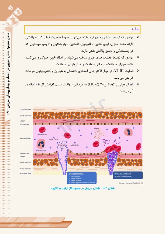 از تشخیص آزمایشگاهی تا درمان بیماری‌های انعقادی