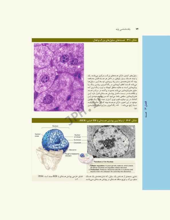 بافت‌شناسی پایه جان‌ کوئیرا 2024