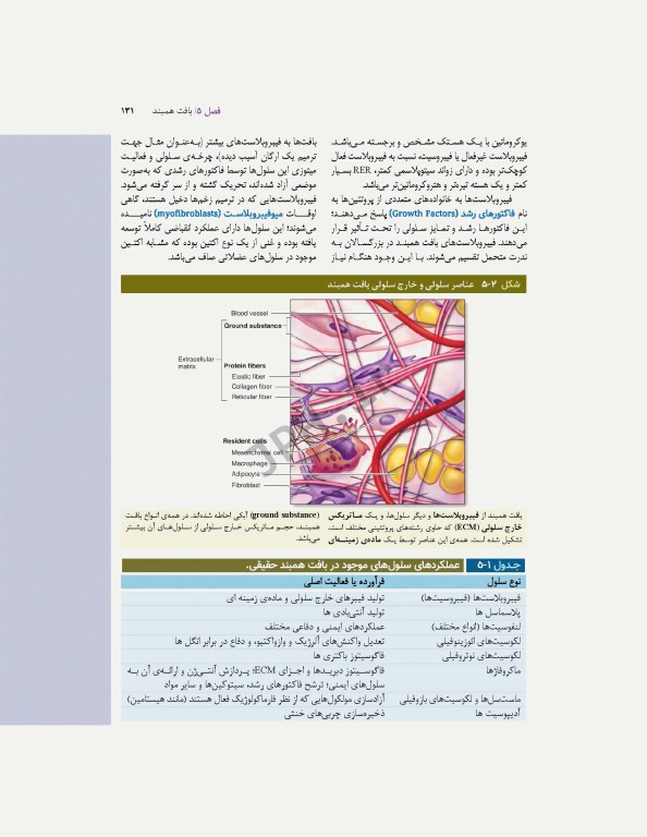 بافت‌شناسی پایه جان‌ کوئیرا 2024