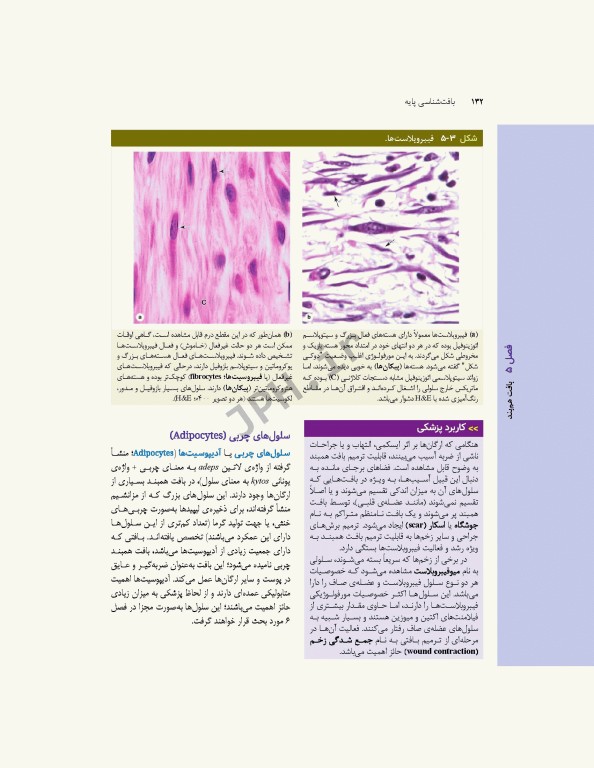 بافت‌شناسی پایه جان‌ کوئیرا 2024