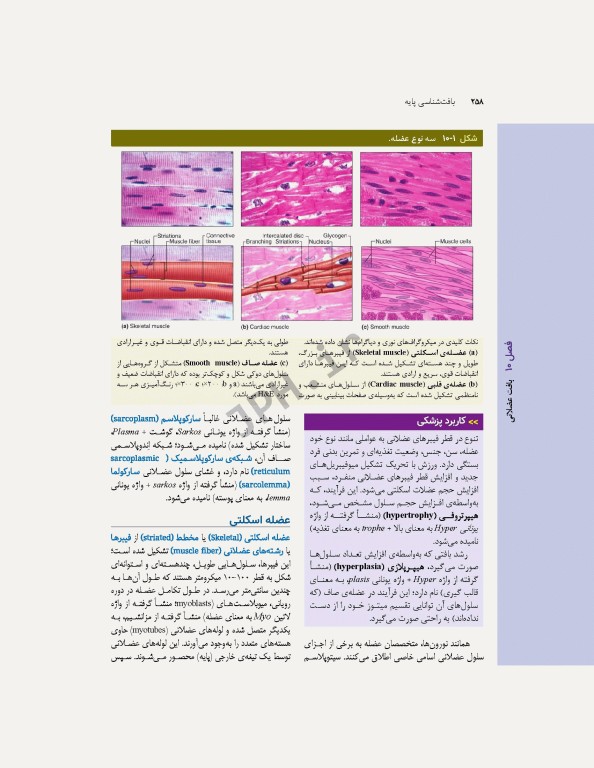 بافت‌شناسی پایه جان‌ کوئیرا 2024
