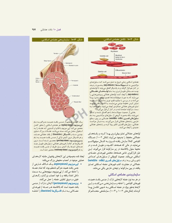 بافت‌شناسی پایه جان‌ کوئیرا 2024