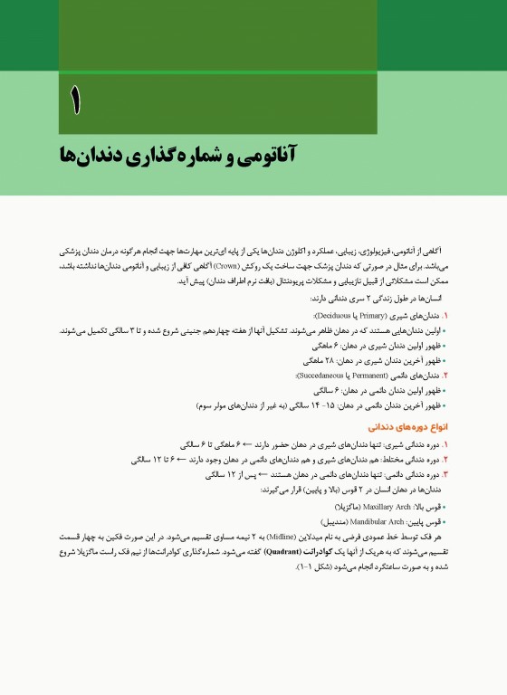 آناتومی و مورفولوژی دندان ها استنلی ج نلسون