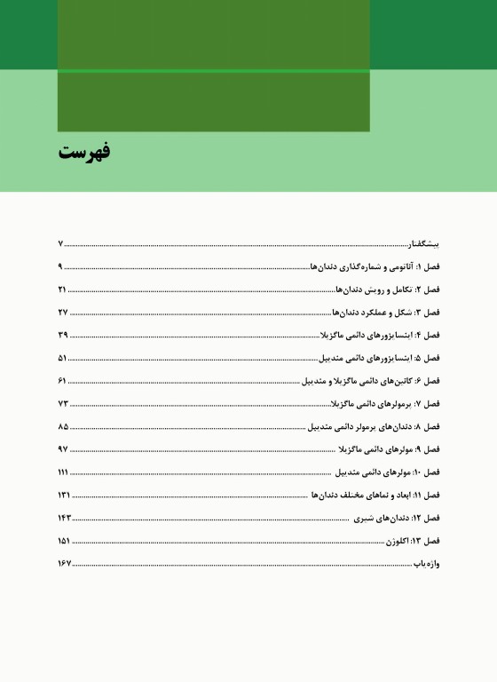 آناتومی و مورفولوژی دندان ها استنلی ج نلسون