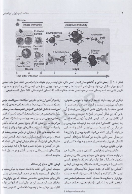 خلاصه ایمونولوژی سلولی و مولکولی ابوالعباس 2022 دکتر مهری غفوریان