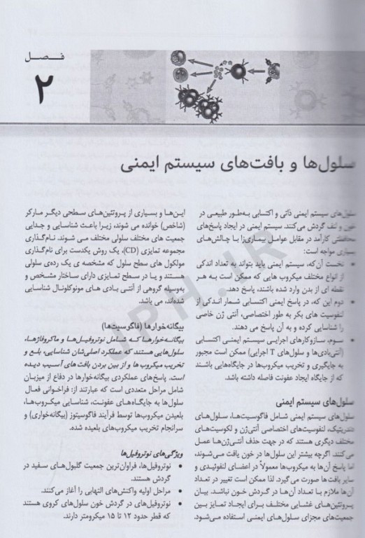 خلاصه ایمونولوژی سلولی و مولکولی ابوالعباس 2022 دکتر مهری غفوریان