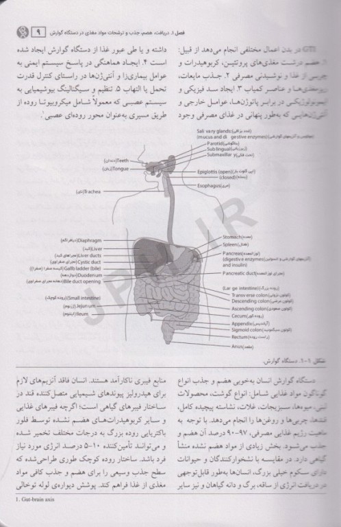 اصول تغذیه و رژیم درمانی کراوس 2023 جلد اول ارزیابی و تشخیص
