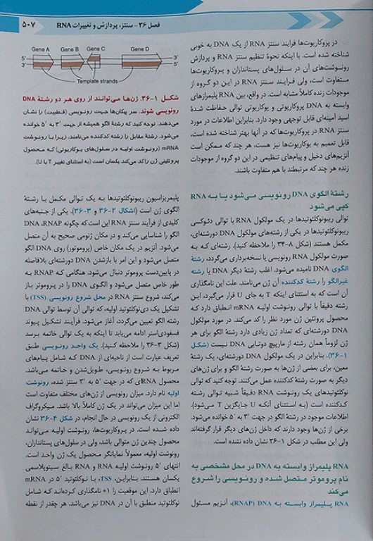 بیوشیمی مصور هارپر 2023 دکتر پاسالار جلد2