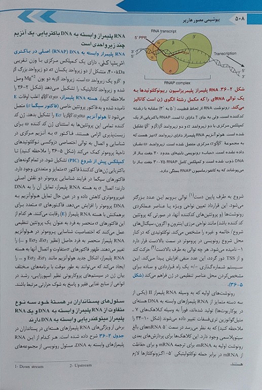 بیوشیمی مصور هارپر 2023 دکتر پاسالار جلد2