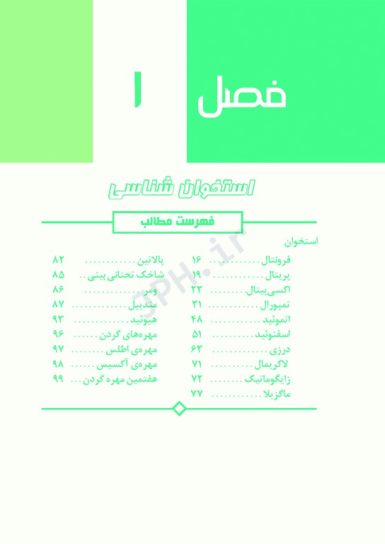 فتوآناتومی سر و گردن