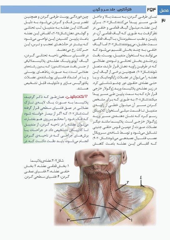 فتوآناتومی سر و گردن