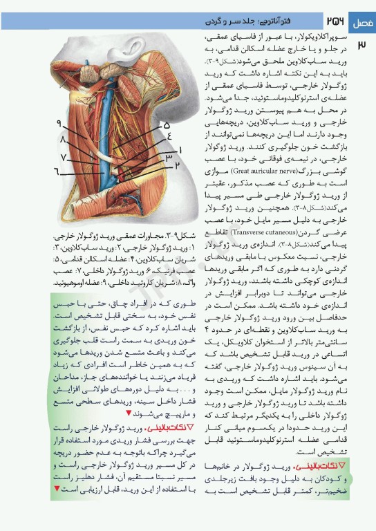 فتوآناتومی سر و گردن