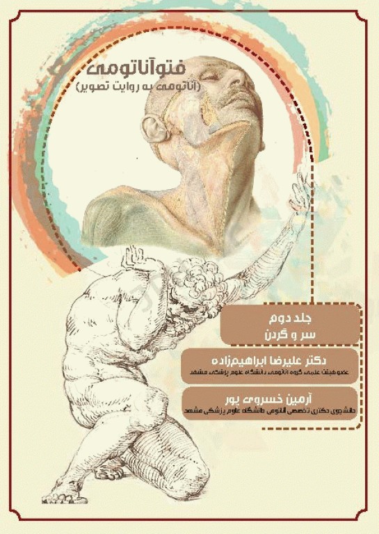 فتوآناتومی سر و گردن