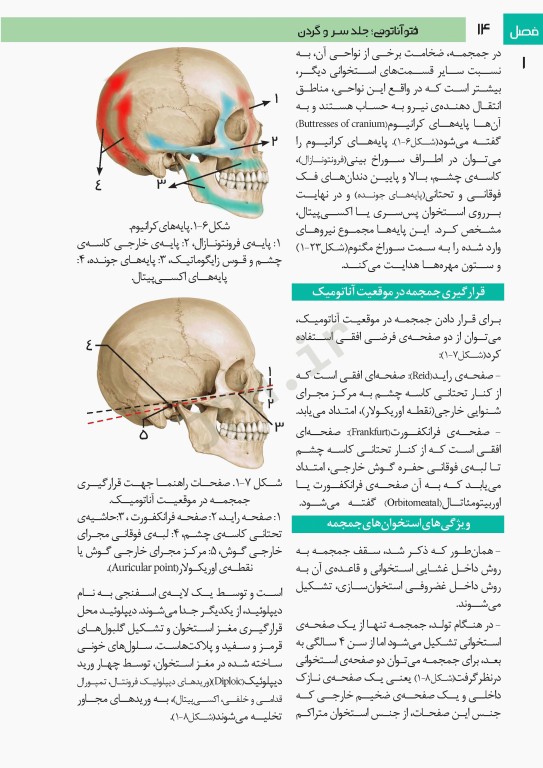 فتوآناتومی سر و گردن
