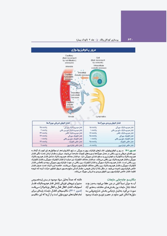 پرستاری کودکان وانگ 2024 جلد دوم کودک بیمار