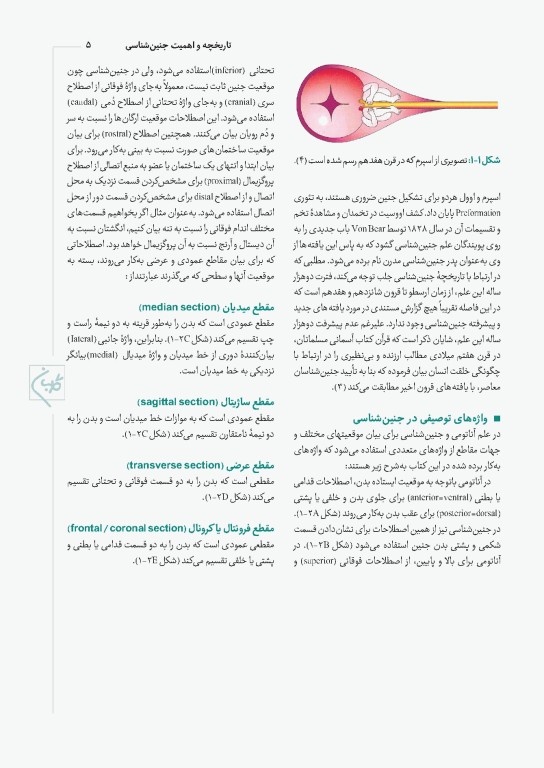 چهل کتاب مامایی گلبان جنین شناسی