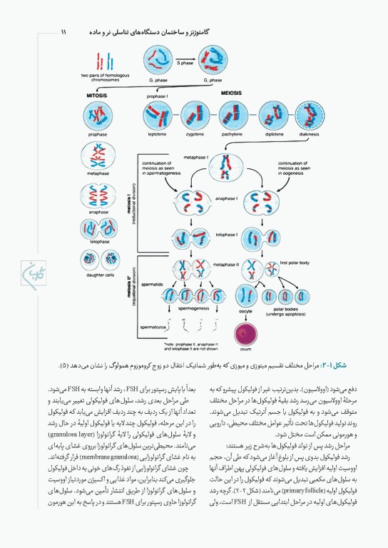 چهل کتاب مامایی گلبان جنین شناسی