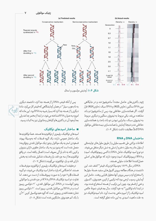 چهل کتاب مامایی گلبان ژنتیک