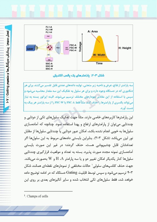اﺻﻮل ﻓﻠﻮﺳﺎﯾﺘﻮﻣﺘﺮی ﺑﺮای اﻓﺮاد ﻣﺒﺘﺪی