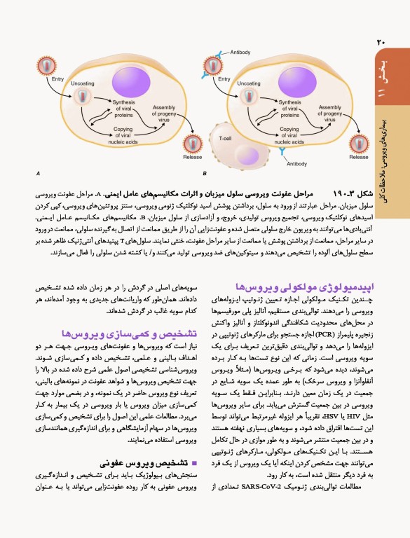 اصول طب داخلی هاریسون 2022 بیماری‌های عفونی (ویروس، تک‌‏یاخته، ایدز، کرم)