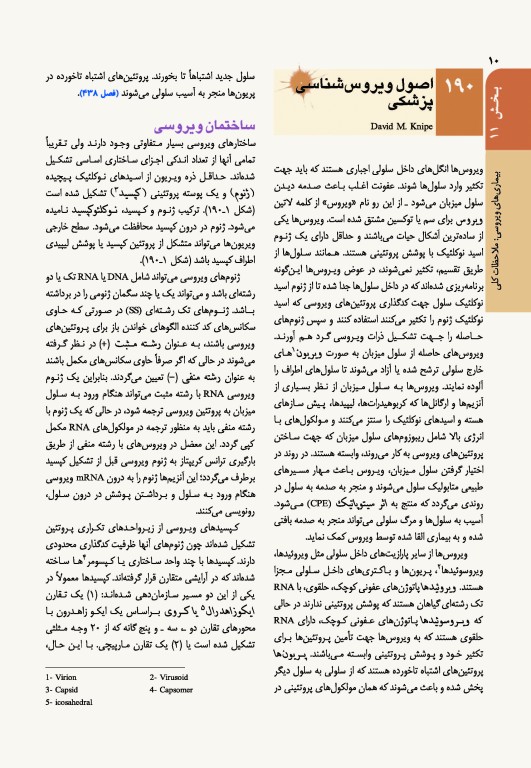 اصول طب داخلی هاریسون 2022 بیماری‌های عفونی (ویروس، تک‌‏یاخته، ایدز، کرم)