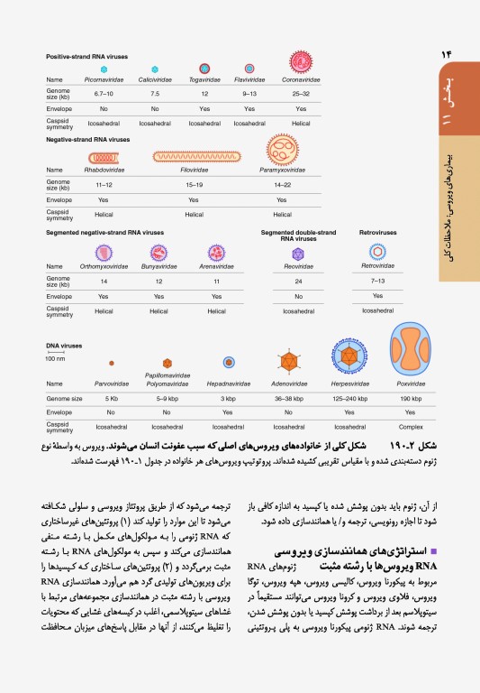 اصول طب داخلی هاریسون 2022 بیماری‌های عفونی (ویروس، تک‌‏یاخته، ایدز، کرم)