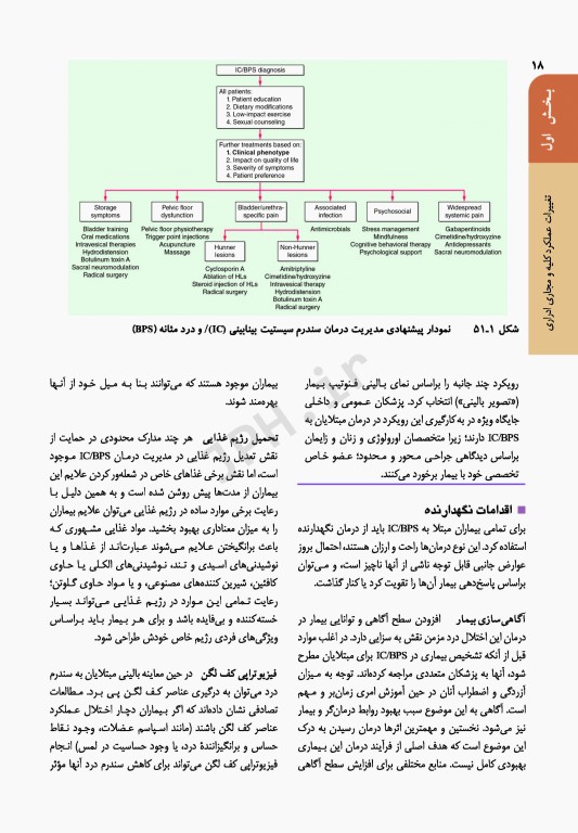 اصول طب داخلی هاریسون 2022 بیماری‌های کلیه و مجاری ادراری